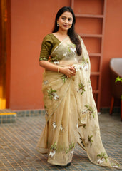 Beige organza embroidery saree.