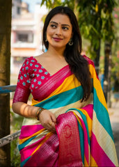 Dolla chex multicolour printed saree.